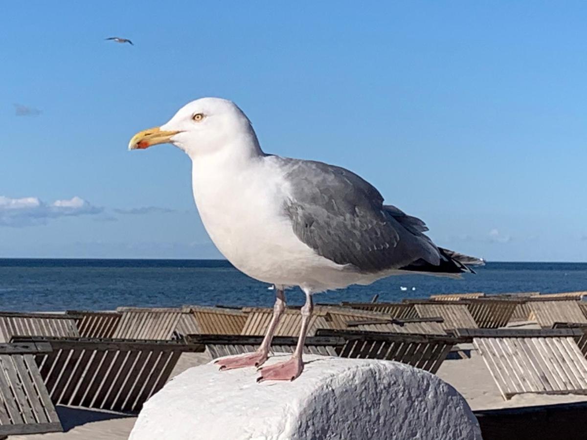 Fewo Lust Auf Laboe Εξωτερικό φωτογραφία
